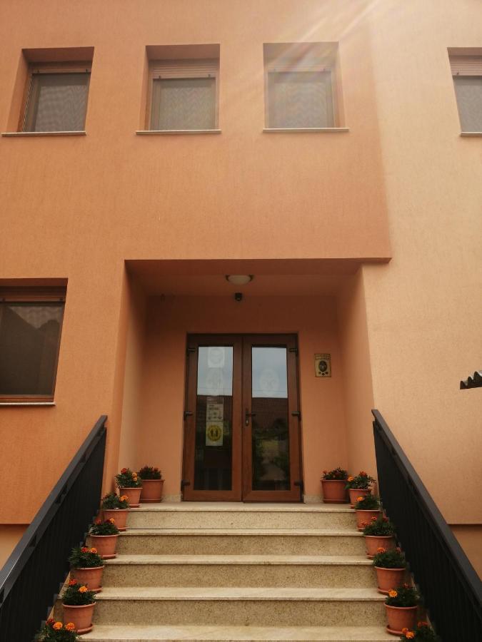 Pensiunea Damiris Băile Felix Εξωτερικό φωτογραφία